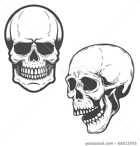 Set of the vector skulls isolated on white Set of the vector skulls isolated on white 68815958
