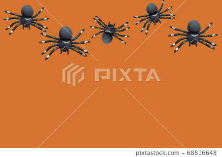 Black spiders on an orange background with space for text. Halloween theme. Poster, banner. 68816648