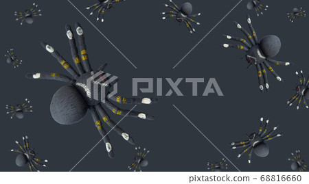 Halloween Toy Black Spiders Dark Background Space Text Image Selective Focus Levitation. Banner, poster. 68816660