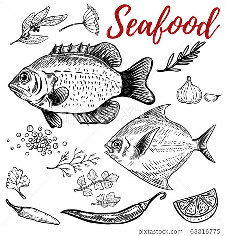 Seafood. Fish illustrations with spices. Design 68816775