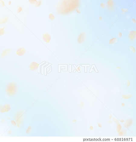 Yellow orange flower petals falling down. Bewitchi 68816971