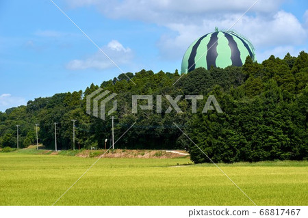 秩父縣西瓜儲罐富裡 68817467