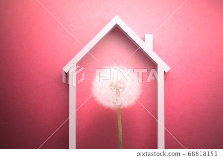 dandelion flower under the roof of the house, 68818151