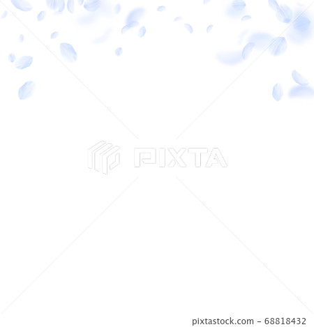 Light blue flower petals falling down. Beautiful r Light blue flower petals falling down. Beautiful r 68818432