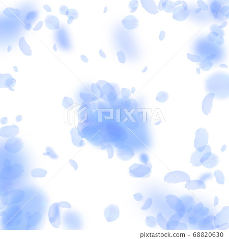 Dark blue flower petals falling down. Memorable ro 68820630