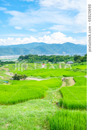 Terraced rice terraces (summer) Terraced rice terraces (summer) 68820698
