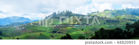 Panorama Rice terraces in Chiang mai Thailand Panorama Rice terraces in Chiang mai Thailand 68820955