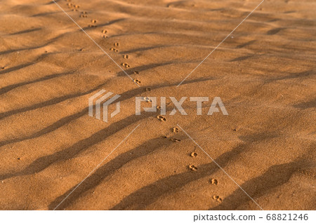 Close up image of beautiful sand texture background 68821246