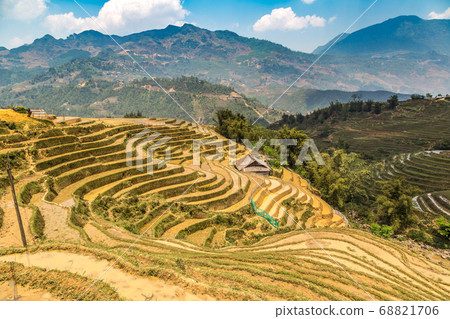 Terraced rice field in Sapa 68821706