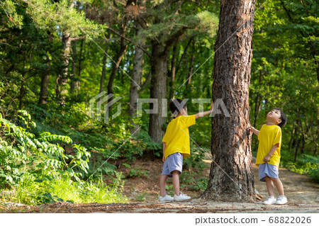 Lifestyle Family Siblings Travel Camp 68822026