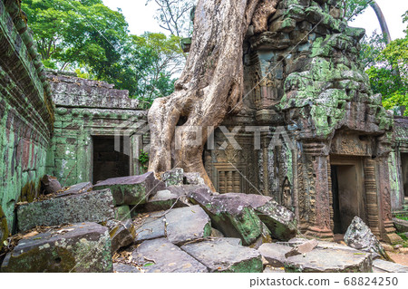 Ta Prohm temple in Angkor Wat 68824250