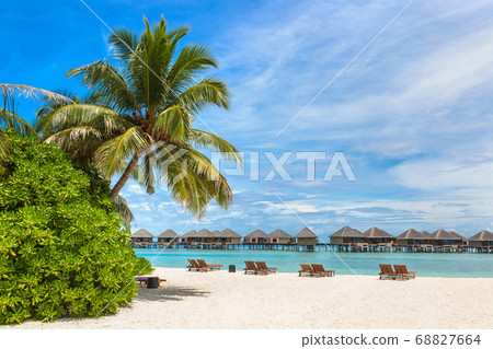 Sunbed and umbrella in the Maldives 68827664