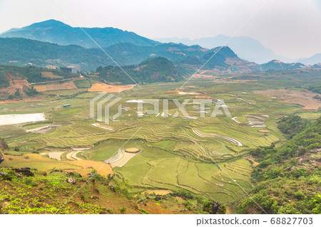 Terraced rice field in Sapa 68827703