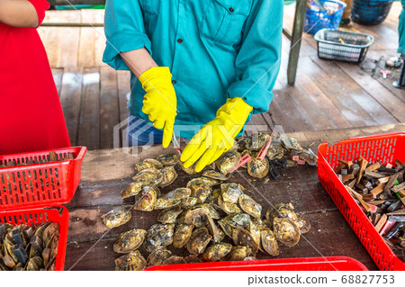 Pearl farm in Halong bay, Vietnam 68827753