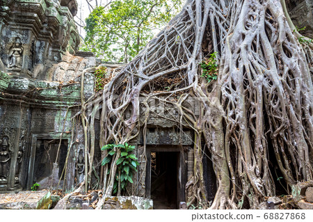 Ta Prohm temple in Angkor Wat Ta Prohm temple in Angkor Wat 68827868