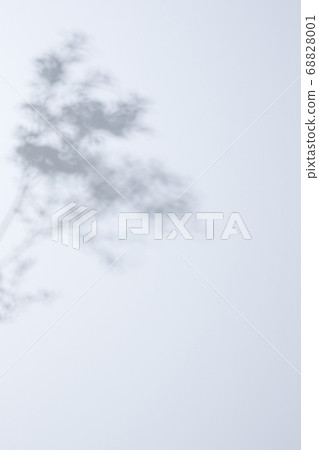Shadow of sunbeams falling down on a white background 68828001