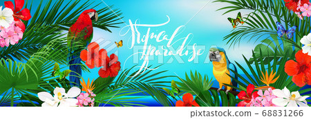 Beautiful tropical banner with flowers,butterfly,parrots and palm leaves Beautiful tropical banner with flowers,butterfly,parrots and palm leaves 68831266