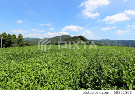 Uji Tea Village Wazuka Uji Tea Village Wazuka 68831508