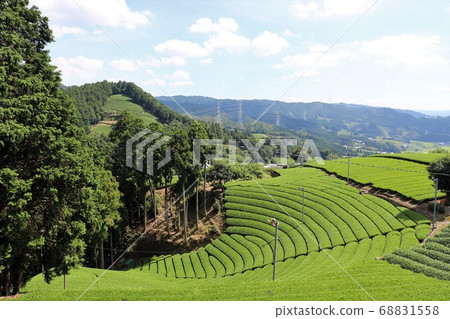 Uji Tea Village Wazuka 68831558