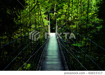 Wooden bridge leading to the back of the forest Wooden bridge leading to the back of the forest 68833317