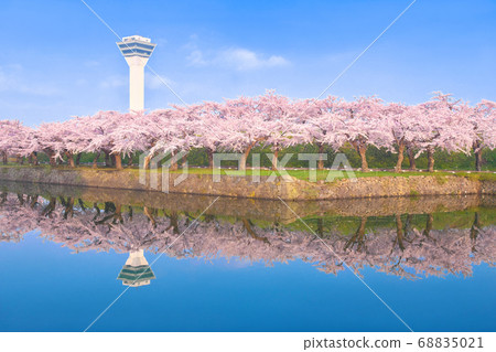 Specular reflection of cherry blossoms in Goryokaku Park, Hakodate City, Hokkaido 68835021