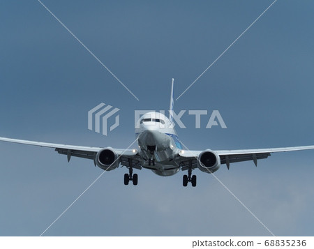 Jetliner landing at Osaka International Airport 68835236