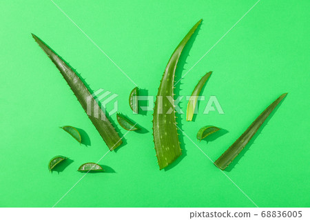 Aloe vera leaves and slices on color background, Aloe vera leaves and slices on color background, 68836005