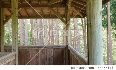Healing tree landscape Healing tree landscape 68836151