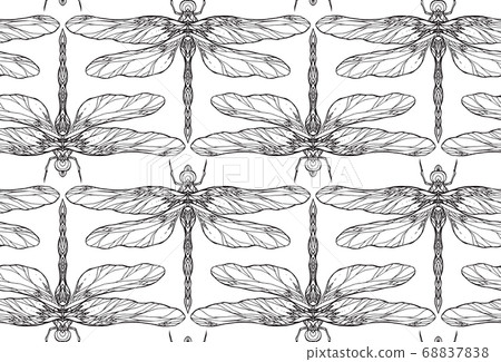 Seamless black and white texture with dragonflyillustration with boho pattern. Vector pattern  68837838