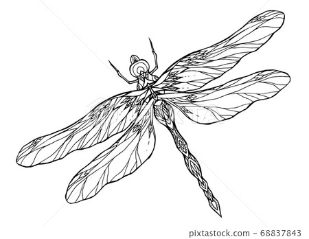 Black and white dragonfly illustration with a boho pattern. Vector element  68837843