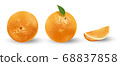 Realistic set of oranges isolated on white. Fresh ripe oranges with leaves. Tropical fruits vector illustration 68837858
