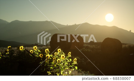hay bales in the sunset 68838007