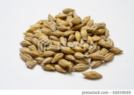 Natural dry barley malt on white background. Natural dry barley malt on white background. 68839089