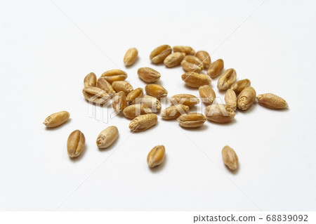 Natural dry wheat grains on white background.  68839092