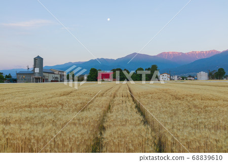 黎明時分的月亮和麥田[日出時的竹嶽山] 68839610