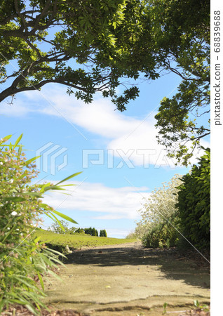 Country road 68839688
