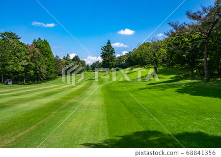Golf course Golf course Fairway 68841356