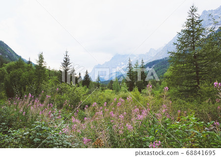 Beautiful mountain landscape in Val Ferret, Italy. 68841695