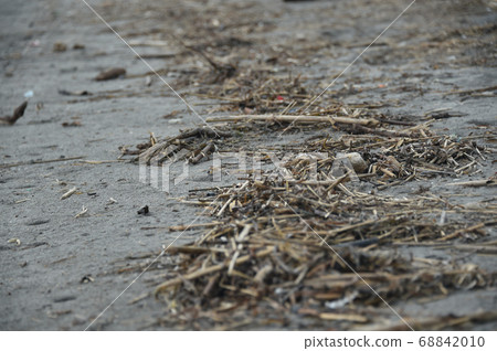 漂浮物和垃圾在海灘被沖走 漂浮物和垃圾在海灘被沖走 68842010