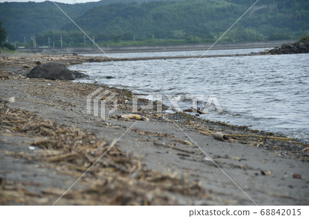 Floats and garbage washed up at the beach Floats and garbage washed up at the beach 68842015