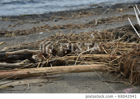 Floats and garbage washed up at the beach Floats and garbage washed up at the beach 68842041