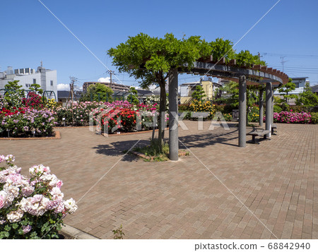 Hiroo Disaster Prevention Park (Ichikawa City) Flower Square (Rose Garden) Hiroo Disaster Prevention Park (Ichikawa City) Flower Square (Rose Garden) 68842940