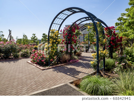 Hiroo Disaster Prevention Park (Ichikawa City) Flower Square (Rose Garden) Hiroo Disaster Prevention Park (Ichikawa City) Flower Square (Rose Garden) 68842941