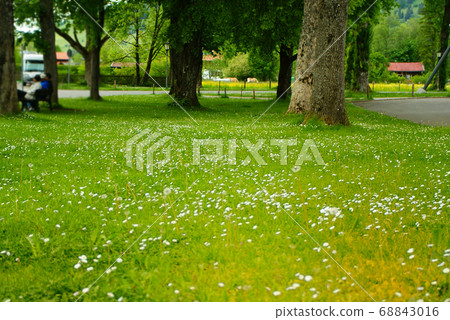 beautiful landscape in Germany. travel, view, beautiful. beautiful landscape in Germany. travel, view, beautiful. 68843016