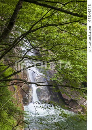 Waterfall over the trees Waterfall over the trees 68844248