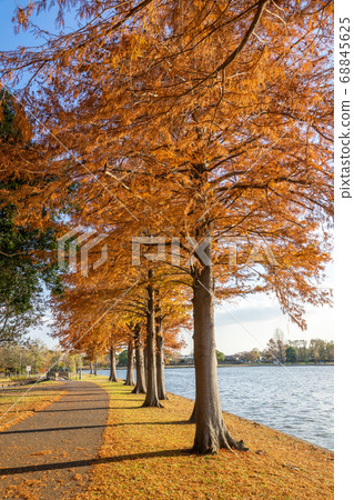 Autumn Misato Park Autumn Misato Park 68845625