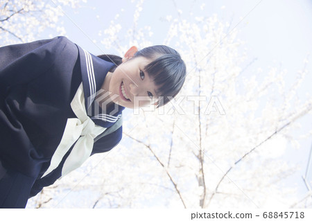 Sakura and girls junior high school students 68845718