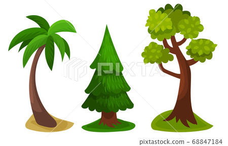 Tree with Exuberant Green Foliage and Trunk Vector Illustration 68847184