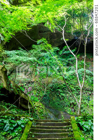 Fresh green Mihashi Kannon [Sasebo City, Nagasaki Prefecture] 68847201