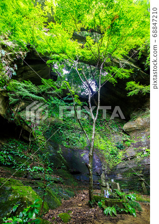 Fresh green Mihashi Kannon [Sasebo City, Nagasaki Prefecture] 68847210